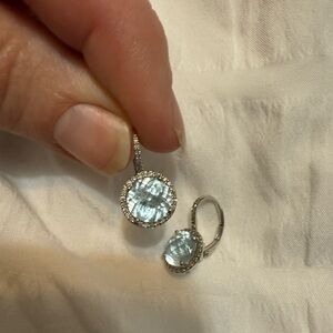 Elegant Silver and Blue Earrings